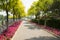 Asia China, Beijing, North Forest Park, garden scenery, highway, tree, pink flowers