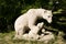 Asia China, Beijing, Yang Shan Park, landscape sculpture. Bear mother and child