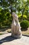 Asia China, Beijing, Yang Shan Park, landscape sculptureï¼ŒTwo cats