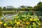 Asia China, Wuqing Tianjin, cultural park, The lotus pond, wooden pavilion