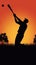 asia cricket player hitting a ball at sunset silhouette image generative AI