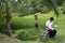 ASIA INDONESIA BALI LANDSCAPE RICEFIELD