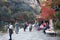 Asia, Japan. Kyoto, Sagano, Arashiyama, people walking next to river,