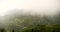 Asia mountain with windy foggy cover top of mountain and agriculture green landscape in asian farm. Plantation green rice terrace