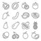 Asia Thai Fruits Related Vector Line Icons. Contains such Icons as Durian, Papaya, Watermelon, Banana and more