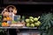 Asia woman selling natural variety of fruits at the farm stay, Homestay at Thailand Loei