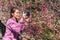 Asia woman take image cherry blossom by smartphone in sun moon lake taiwan, Selective focus