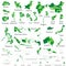 Asian, Australia and Oceania vector countries maps