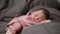 Asian baby infant wearing gloves and socks sleeping on gray bed. studio shot.