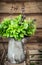 Asian basil in old tin jug on wooden