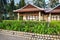 Asian beachfront buildings for tourists with green plants in the tropics