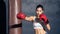 Asian beautiful sport boxer wear boxing glove practice punch in gym. Attractive active athlete fighter workout exercise hitting
