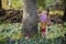 Asian beautiful woman walking in lotus field.