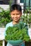 Asian boy holding a basket of vegetables with Curl leaf kale and Dinosaur kale or Brassica oleracea grown Background blurry tree