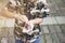 Asian boy holding small penguin toy on his hand and playing