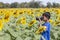 Asian boy learning to take pictures while traveling to sunflower fields.