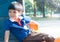 Asian boy sitting in playhouse