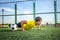 Asian boy teenager doing push-ups from floor on green lawn. Young footballer, a healthy lifestyle, game sports