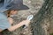 Asian boy wearing a hat in a forest exploration suit Use a magnifying glass to survey the tree area