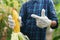 Asian boy young farmer holding showing harvest organic corn agriculture product