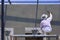 Asian builder worker on wooden scaffolding using wooden trowel polishing cement wall in construction site