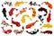 Asian carp vector cartoon set icon. Vector illustration fish on white background. Cartoon set icon japan carp.