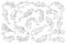 Asian carp vector line set icon. Vector illustration fish on white background. Line set icon japan carp.