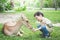 Asian child feeding deer