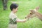 Asian child feeding deer