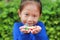 Asian child girl holding some thai sugar and fruit toffee with colorful paper wrapped in her hands. Focus at candy in her hands