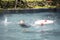 Asian child girl struggling for a life buoy in swimming pool to rescue drowning in dangerous situation in summer vacation,