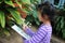 Asian children learning biology plant species.