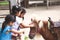 Asian children touching and playing with pony in the farm