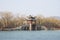 Asian Chinese, Beijing, the Summer Palace, the Royal Garden, landscape