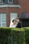 Asian Chinese couple in wedding dress stand in bushes