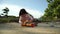 Asian chinese girl child playing with earth mover toys by the beach