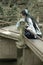 Asian Chinese woman in traditional Blue and white Hanfu dress, play in a famous garden Climb on the bent bridge