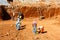 Asian Construction Workers in an Indian Work Site