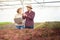 Asian couple gardeners test soil and solution in water at greenhouse organic lettuce vegetable in farm