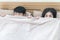 Asian couple lying in bed peeking out from under the blanket and looking at camera. funny couple relaxing in bedroom