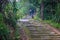 Asian couple walking on staircase up to hilltop