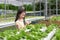 Asian cute girl is learning to grow organic vegetables in the fa