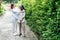 Asian daughter embraced her elderly mother, who standing with cane And smile with happiness