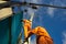 Asian electrician climb high on pole to repair electrical system