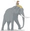 Asian Elephant Illustration