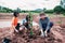 Asian family plating tree for organic farm in rural on sky background