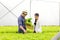 Asian farmer couple work in hydroponic vegetable greenhouse farm with happiness and joyful in row of plants background