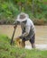 Asian farmer preparing the ground