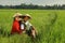 Asian farmer at rice field