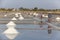 Asian farmer, salt plantation, Vietnamese salina